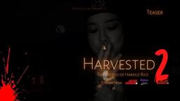 Teaser clip of Hana Wu in Harvested 2 (2022) The Legend of Harold Rice