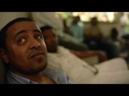 Dead Donkeys Fear No Hyenas (Trailer ) - Green Film Fest 2017