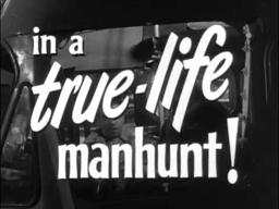 Never Trust a Gambler   Original Trailer