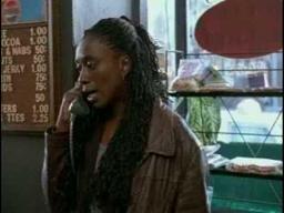 Waterproof - Trailer