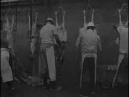 KILLER OF SHEEP trailer