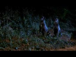 ZOLTAN: HOUND OF DRACULA (1978; trailer) Reggie Nalder