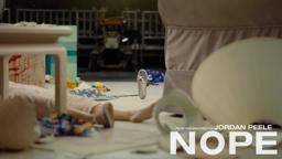 Did You See Everything?