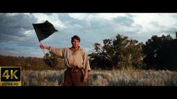 Far and Away (1992) Theatrical Trailer 2A [4K] [FTD-0681]