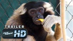 THE CENTER: GIBBONS AND GUARDIANS | Official HD Trailer (2021) | DOC | Film Threat Trailers