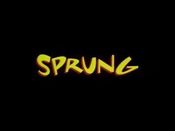 Sprung (1997, trailer) [Tisha Campbell-Martin, Rusty Cundieff, Paula Jai,  ParkerJoe Torry]