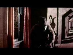 ghost in the invisible bikini trailer.mp4