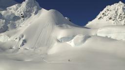 SHADES OF WINTER trailer