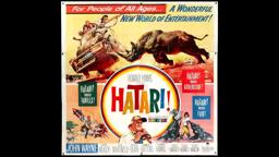 Michael Schlesinger on HATARI!
