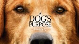 A Dog's Purpose - Official Trailer (HD)