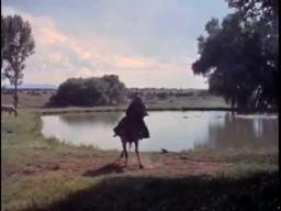 Where Angels Go   Trouble Follows   Original Trailer