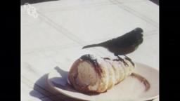 On Closer Inspection (1953) | BFI National Archive