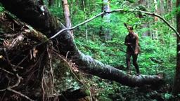THE HUNGER GAMES - On Blu-ray, DVD and Digital Download 8/18/12