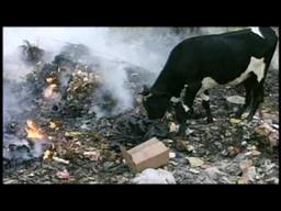 THE CORPORATION trailer