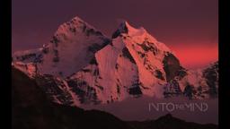 Into The Mind - Official Teaser