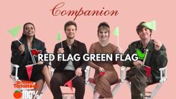 Red Flag Green Flag Game