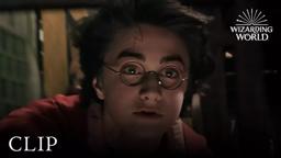 Battle of the Seekers