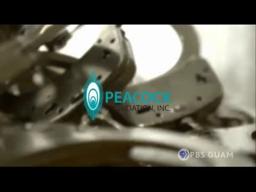 PBS The Definition of Insanity 2020 Funding