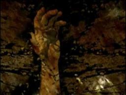 Saint Francis trailer