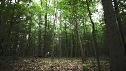 Green - SXSW 2011 Accepted Film