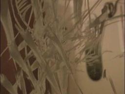 Walrus TV Artist Feature: Tiffany Bozic "Dithers" Series