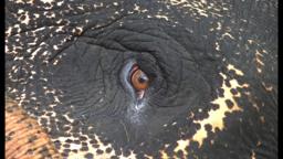 Cemetery – trailer | IFFR 2020