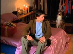 DOG PARK "Do It" TV30