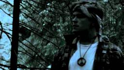 CLIP - Surgically Degraded