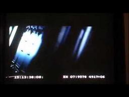 The SUNSHINE Production Diary - Alwin Kuchler