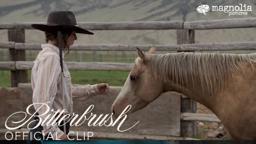 Bitterbrush - Starting a Colt Clip