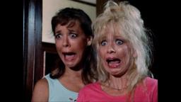 Culture Shock Releasing Late Night Classics Blu-Ray Trailer