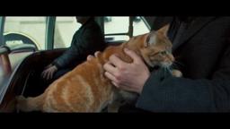 A Street Cat Named Bob - Bus Clip - At Cinemas November 4