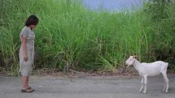 Asan si Lolo Mê? (Trailer)