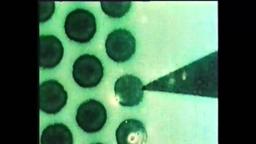 MTV - Len Lye - Swinging the lambeth walk