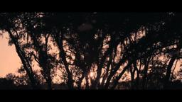 Deadly Weekend - Trailer