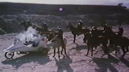 Mad Warrior (Trailer)