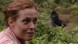 Sigourney Weaver Reunites with the Gorillas from 'Gorillas in the Mist'