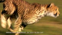 Mission Critical: Namibia, Sanctuary of Giants | 29 July 2017