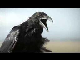 LOVEFIELD (Short Film by Mathieu Ratthe)