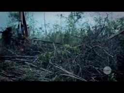 Rise of the Eco-Warriors