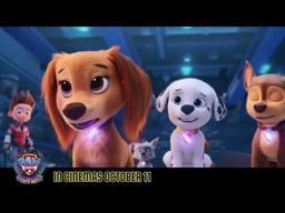 With this team, anything is PAWsible