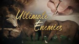 Ultimate Enemies - Trailer - Wildlife Films - National Geographic