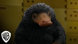 Creatures: Niffler