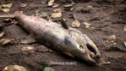 Silenced, As Mercury Rises! www.asmercuryrises.com