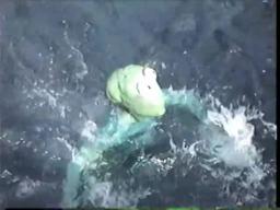 GREENER - Behind the Scenes