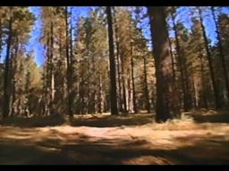 Surviving The Game Trailer 1994