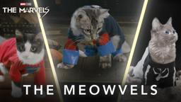The Meowvels