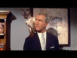 Sam Hamm on BELL, BOOK, AND CANDLE