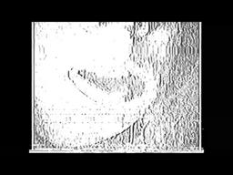 Analog Exposure (2022)