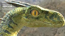 Watch This Before You See The Bubble